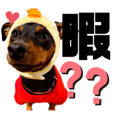 [LINEスタンプ] カーメロすたんぷ〜PART2〜