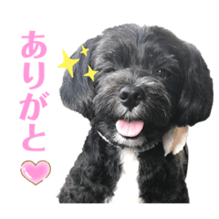 [LINEスタンプ] あ〜るちゃん