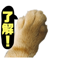 [LINEスタンプ] 桃太の日常