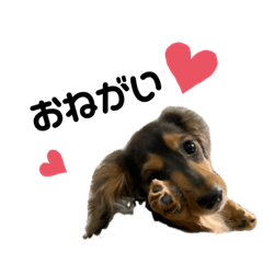 [LINEスタンプ] らむ＆はな