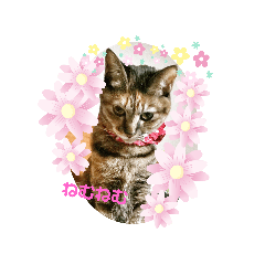 [LINEスタンプ] さっちゃん＆アーリー4