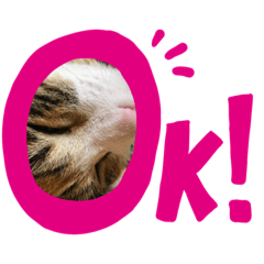 [LINEスタンプ] 三毛猫とミニチュアシュナウザー