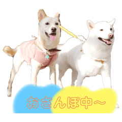 [LINEスタンプ] りく君うみ君