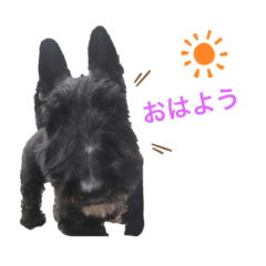 [LINEスタンプ] Jくんスタンプ