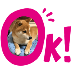 [LINEスタンプ] 柴犬キッド今日も行く1