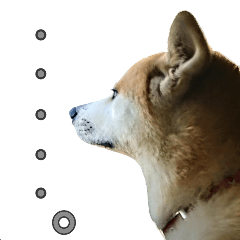 [LINEスタンプ] 秋田犬の太郎