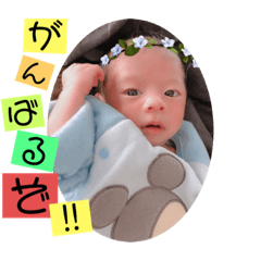 [LINEスタンプ] 可愛い悠くんの日常スタンプ