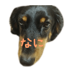 [LINEスタンプ] らむにっき そのいち