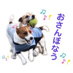 [LINEスタンプ] てん(♂)まる(♀)の毎日。