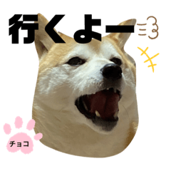 [LINEスタンプ] チョコやでPart4
