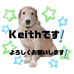 [LINEスタンプ] 鹿肉グループのスタンプ