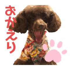 [LINEスタンプ] 愛犬とらくがき達