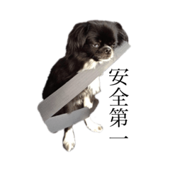 [LINEスタンプ] ブサカワ犬のスタンプ