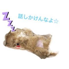 [LINEスタンプ] コロモ①