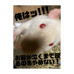 [LINEスタンプ] 可愛げがないファンシーラット 第2弾