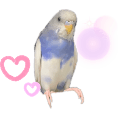 [LINEスタンプ] ウェンディ