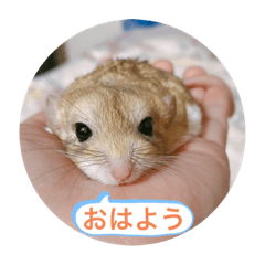 [LINEスタンプ] マカロニマウスのきなこ 第2弾