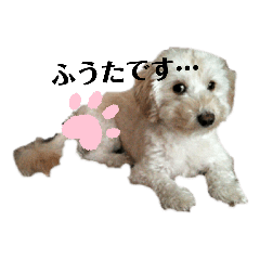 [LINEスタンプ] ふうたです…