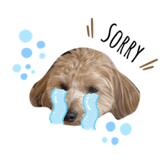 [LINEスタンプ] 今日の僕だよ