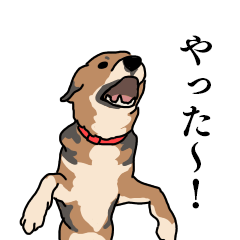 [LINEスタンプ] 犬のアンちゃん 日常スタンプ