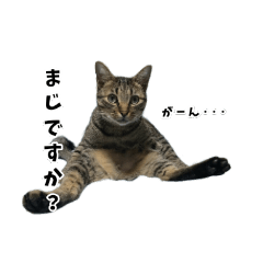 [LINEスタンプ] チャミとお友だち