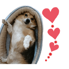 [LINEスタンプ] ジョイアスくんの日常
