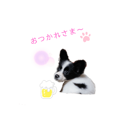 [LINEスタンプ] りんちゃんだよ～3