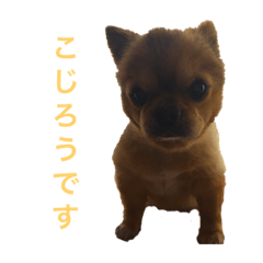 [LINEスタンプ] こじろうラムネアラレスタンプ2