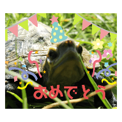 [LINEスタンプ] ピエールくんオリジナルスタンプ