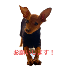 [LINEスタンプ] I am Tankobu