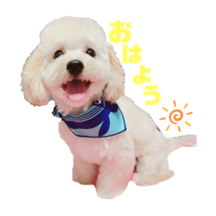 [LINEスタンプ] マルプー.めるさん