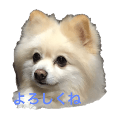 [LINEスタンプ] なっつすたんぷ①
