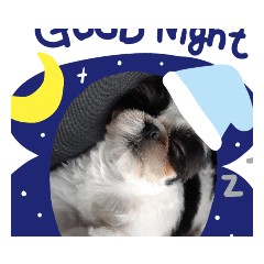 [LINEスタンプ] シーズーこてつ
