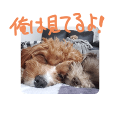 [LINEスタンプ] mcntrmスタンプ