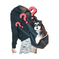 [LINEスタンプ] シュナライフ