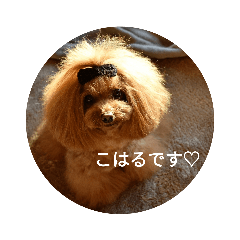 [LINEスタンプ] おでかけしない？