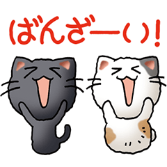 [LINEスタンプ] 猫ねこパラダイス その2