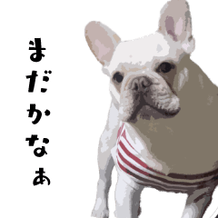 [LINEスタンプ] 犬との日常 v1