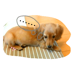 [LINEスタンプ] きなこすたんぷ第2弾