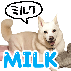 [LINEスタンプ] ミルクといっしょの画像（メイン）