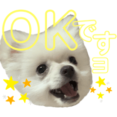 [LINEスタンプ] コトコトコットン 敬語編