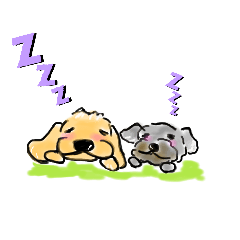 [LINEスタンプ] わんこ大好き～ワンずスタンプ～