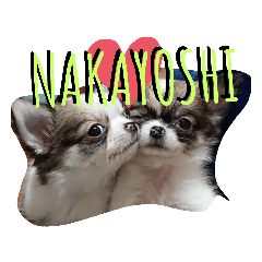 [LINEスタンプ] 川本さんちの可愛い子ちゃん