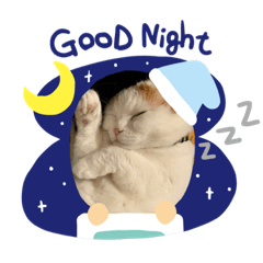 [LINEスタンプ] みみ と ひめ