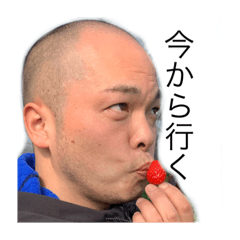 [LINEスタンプ] M.K.with gorilla