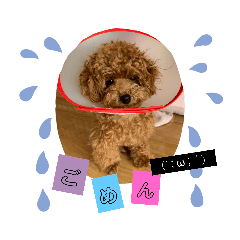 [LINEスタンプ] ずずずん