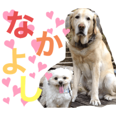 [LINEスタンプ] こたろうとだいきち