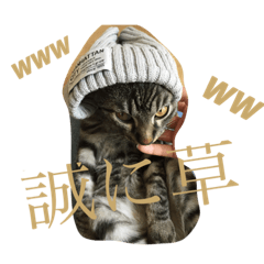 [LINEスタンプ] うちんくのねこ1