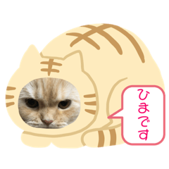 [LINEスタンプ] らぶちょこ その2