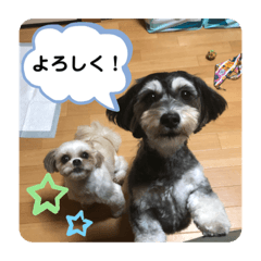 [LINEスタンプ] はむもも
